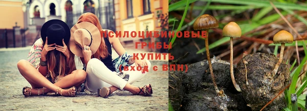 мет Надым