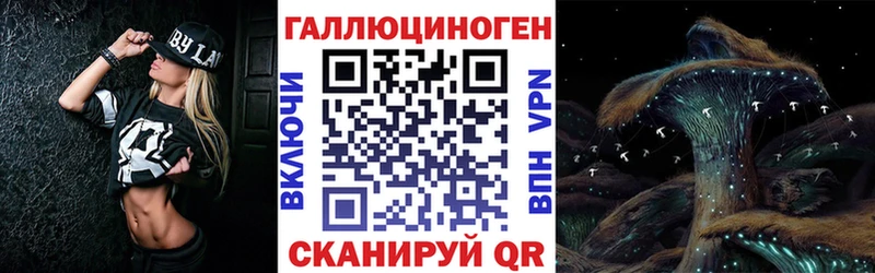 Купить  Чапаевск  Галлюциногенные грибы Psilocybe 